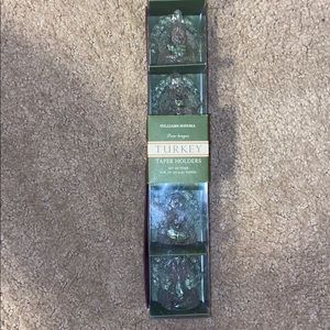 Williams Sonoma Glass Turkey Taper Holders